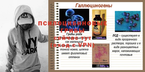 a pvp Баксан